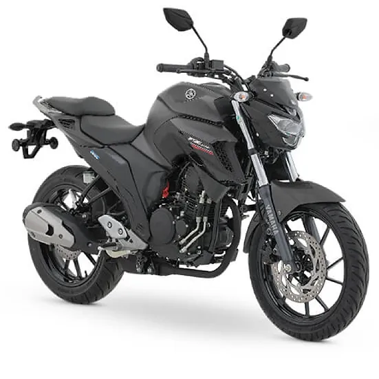 FZ 250 FI